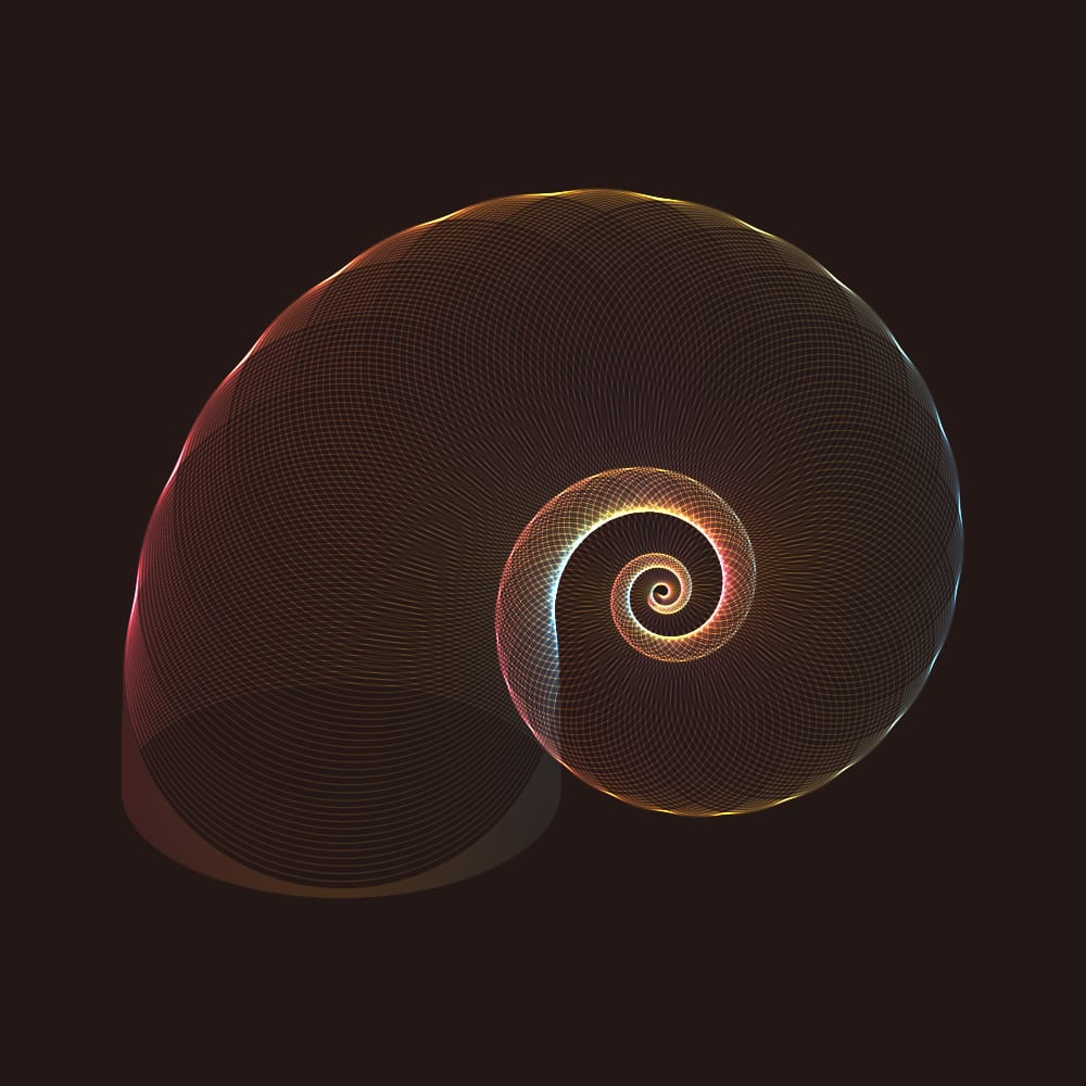 Spase Spiral - image 16 - student project
