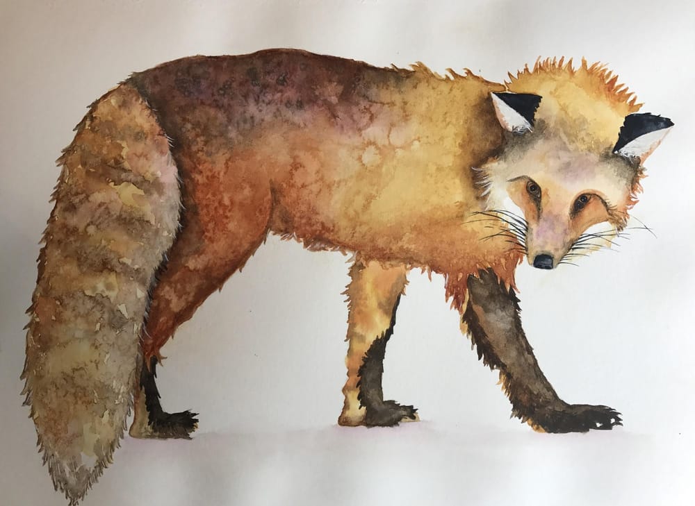 My little fox - image 2 - student project