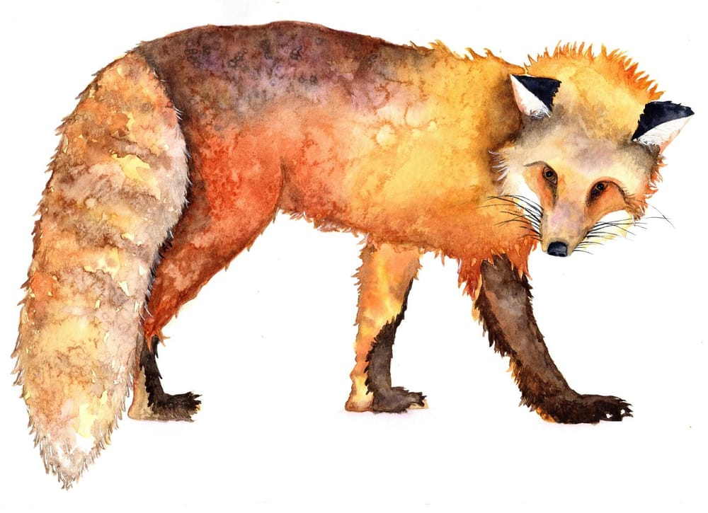 My little fox - image 1 - student project