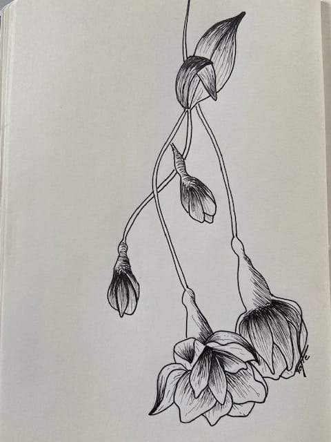 fleur a l encre - image 1 - student project