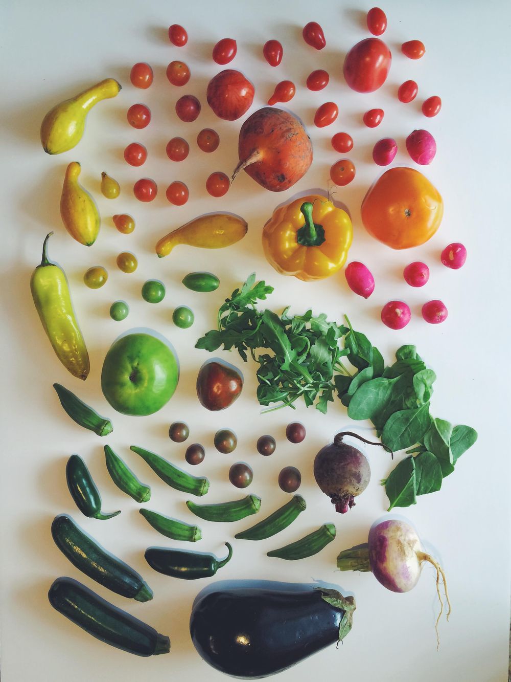 Lowcountry Bounty - image 1 - student project