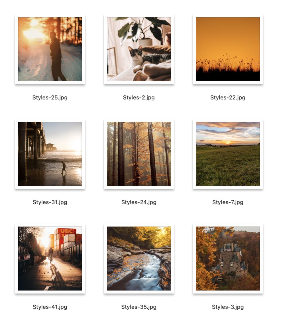 Edit Project Photography Style Project - Instructor Example - image 2 - student project
