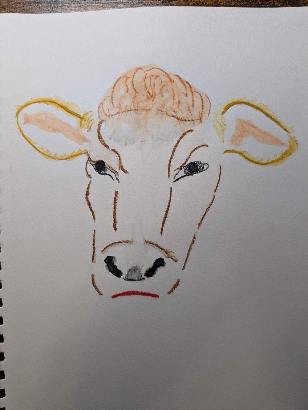 Cow - image 1 - student project