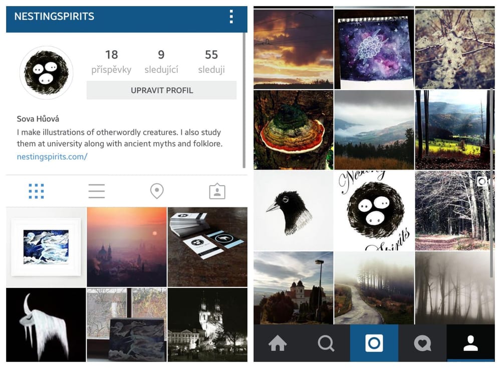 Nesting Spirits & social networks - image 3 - student project