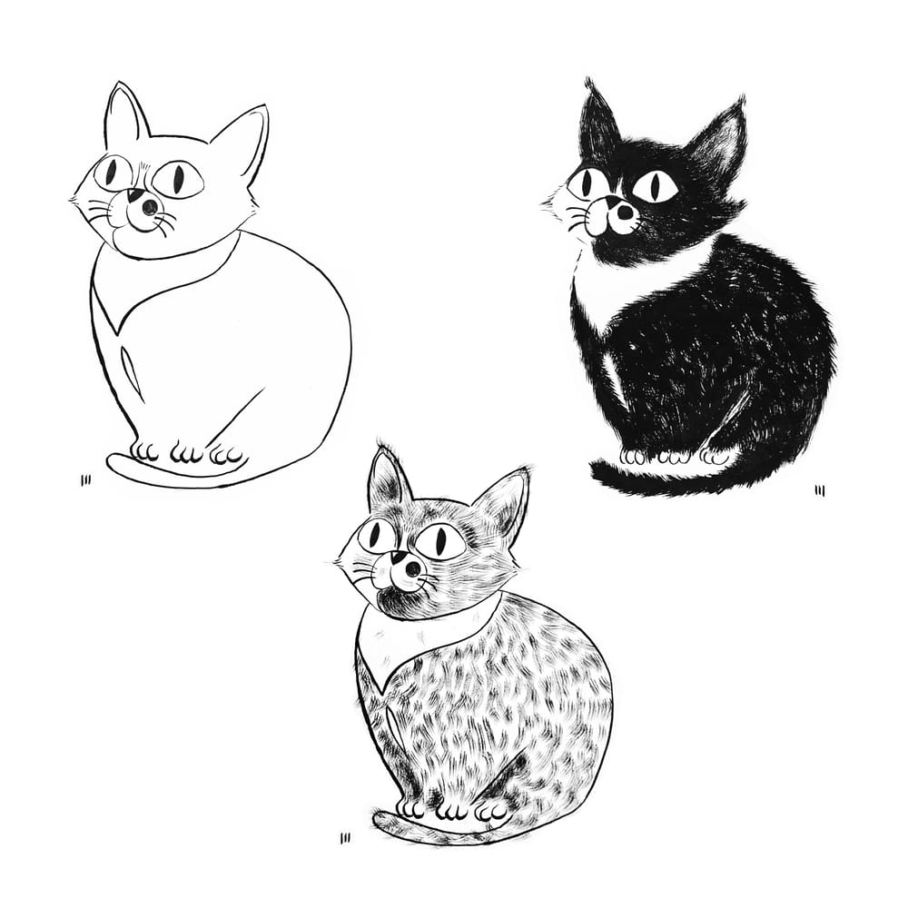 My cat Mime - image 4 - student project