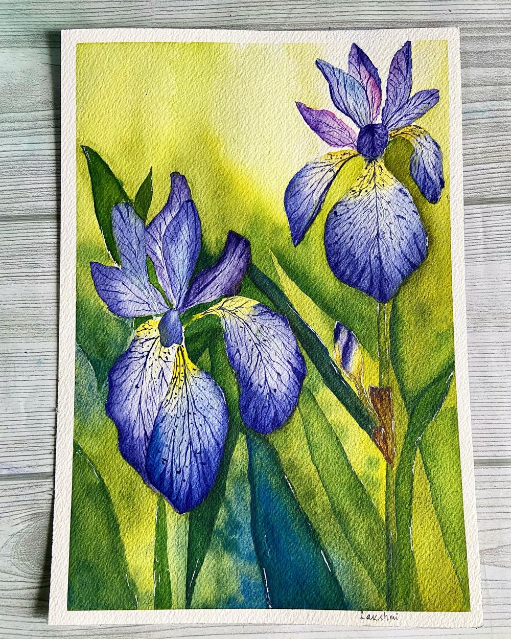 Watercolor Iris by Dhritikana Nath - image 1 - student project