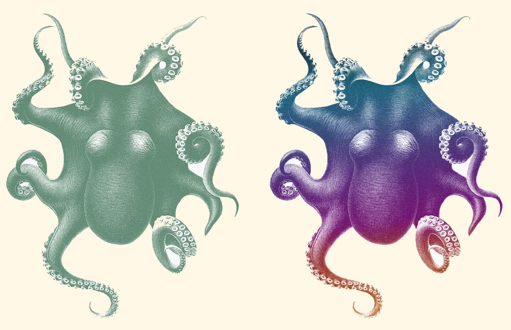Photoshop: grain effect - image 1 - student project