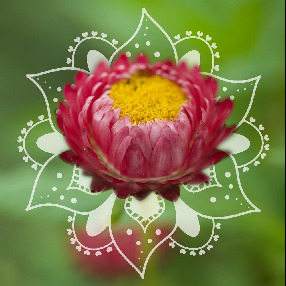Photoshop: mandala - image 5 - student project