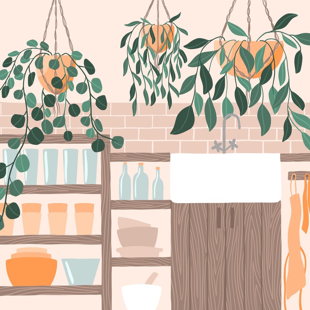 Plant Illustrations in Procreate - image 4 - student project