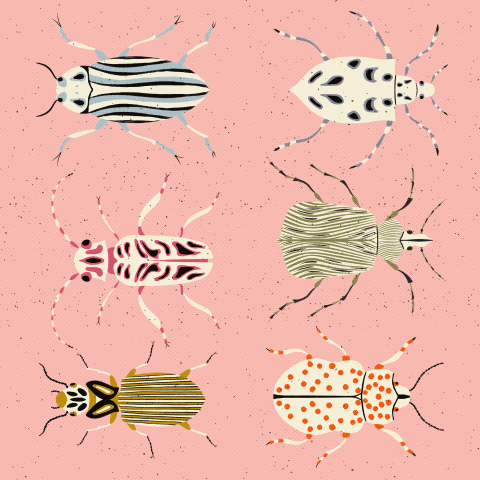 Insect Illustrations and Animations in Procreate - image 4 - student project
