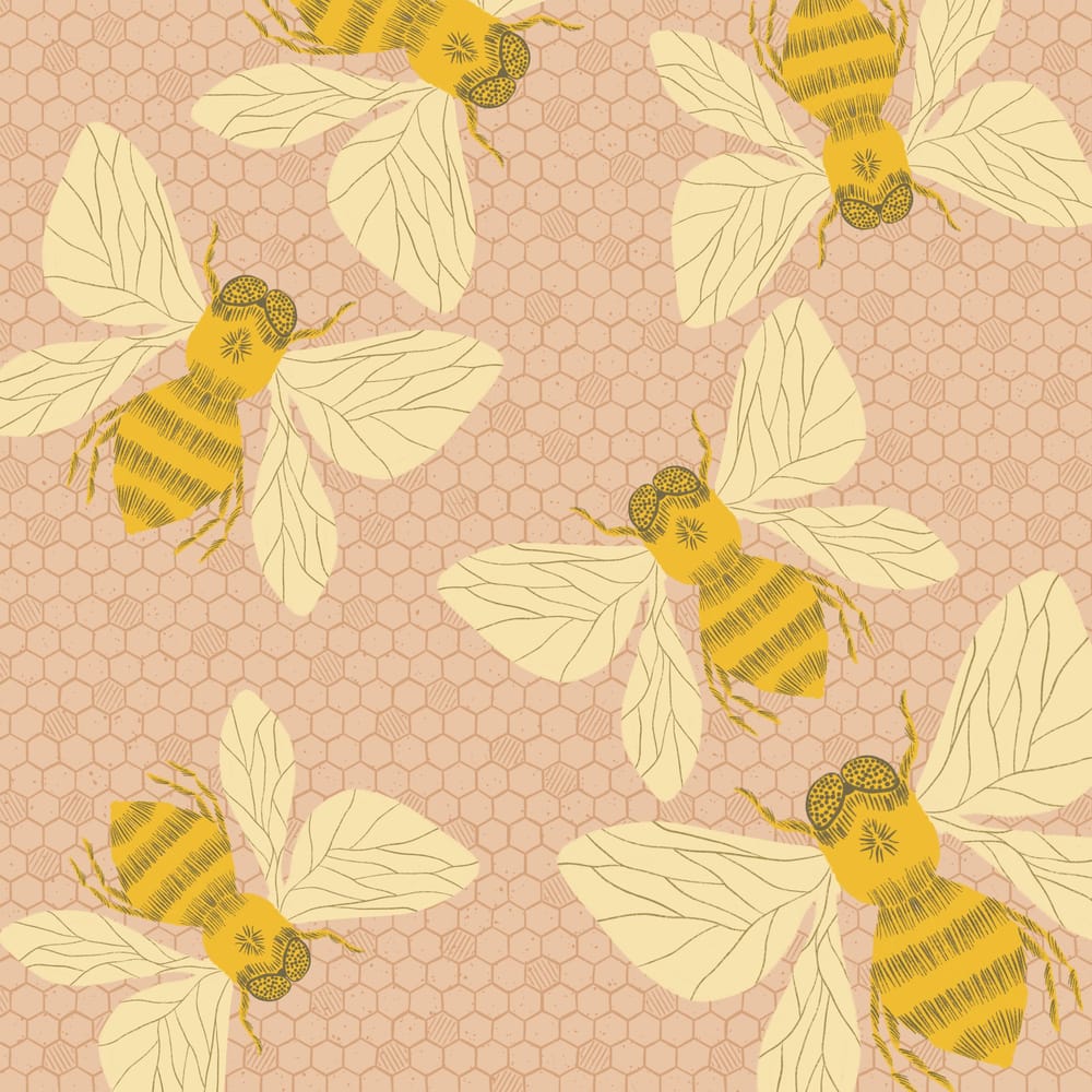 Insect Illustrations and Animations in Procreate - image 5 - student project