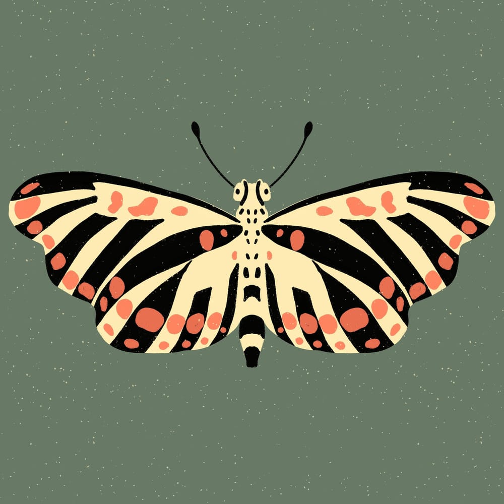 Insect Illustrations and Animations in Procreate - image 1 - student project
