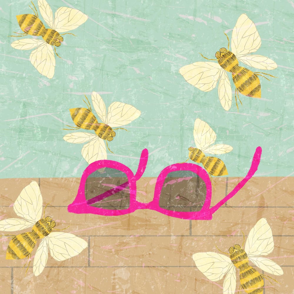 Insect Illustrations and Animations in Procreate - image 3 - student project
