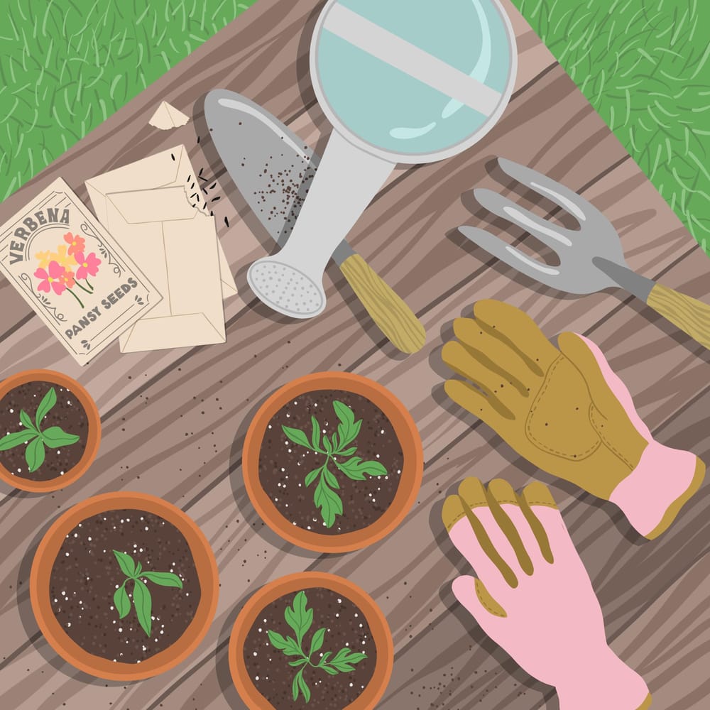Flatlay Illustrations - image 6 - student project