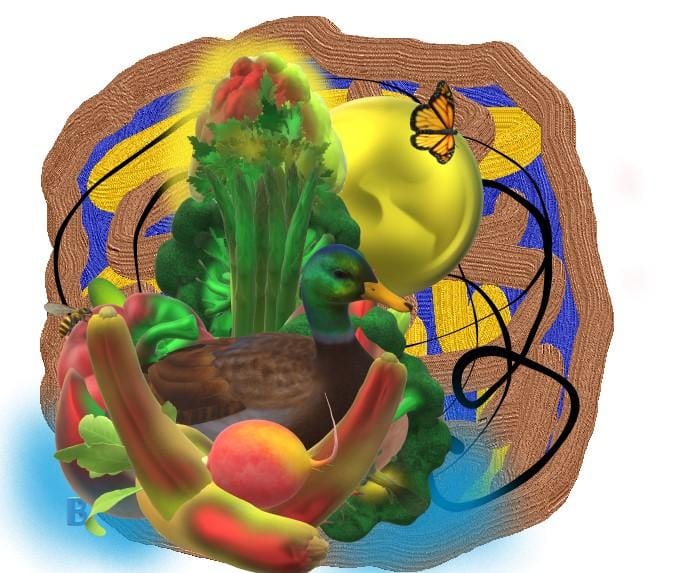 Day 8 - Colors of my Day - image 4 - student project