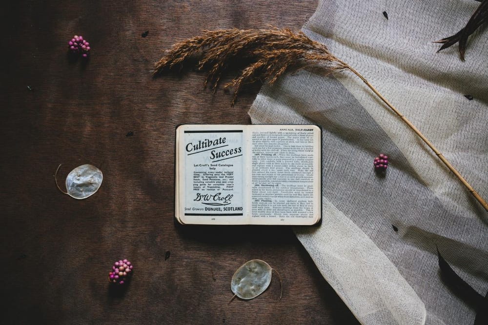 Rustic Study - image 1 - student project