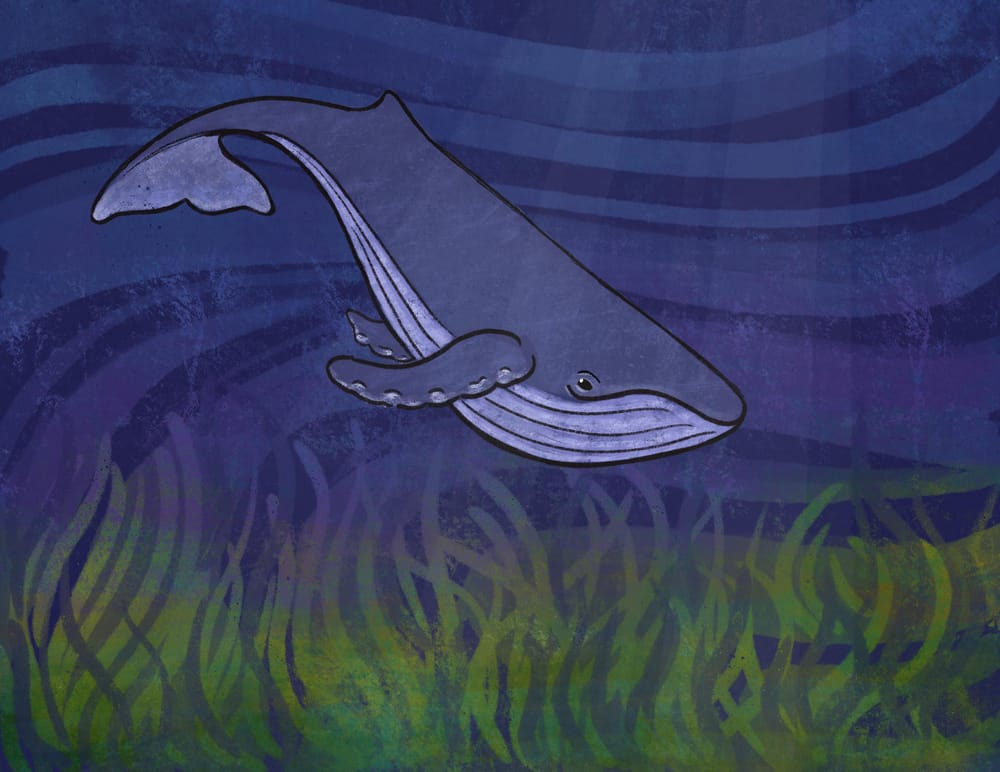 Humpback Whale Using Mask Technique - image 1 - student project