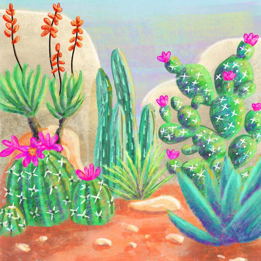 Cactus Garden - image 1 - student project