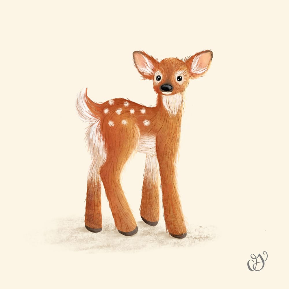 Fawn - image 1 - student project