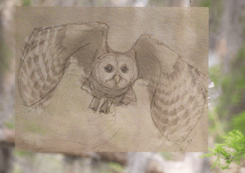 Week of progress - image 9 - student project