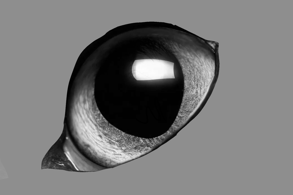 Week of progress - image 11 - student project