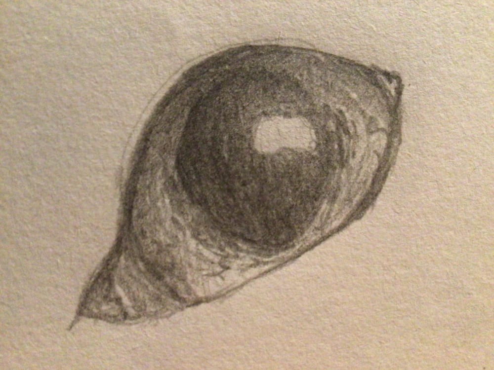 Week of progress - image 10 - student project