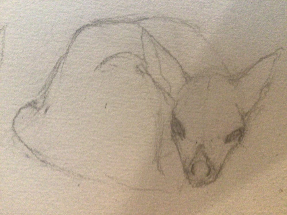 Week of progress - image 3 - student project