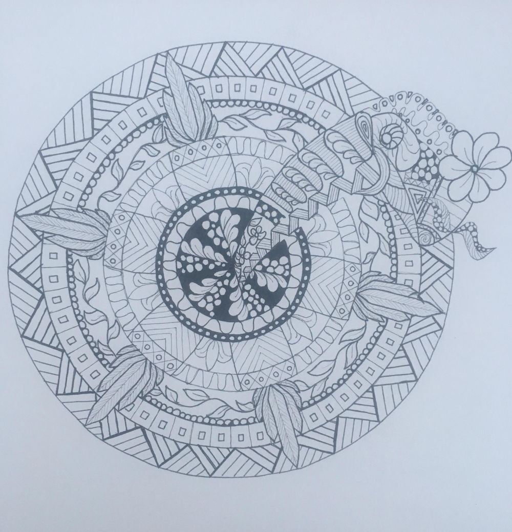 Americas nature mandala - image 1 - student project
