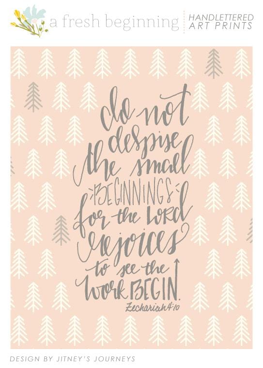 A Fresh Beginning - image 17 - student project