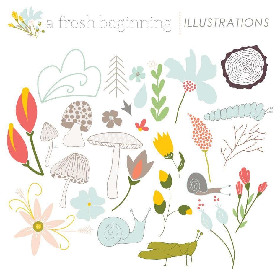 A Fresh Beginning - image 4 - student project