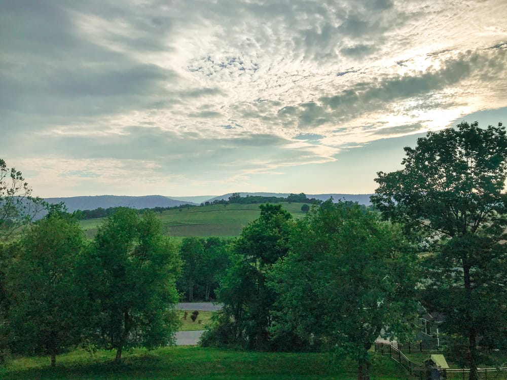 Fresh Morning Skillshare Student Project