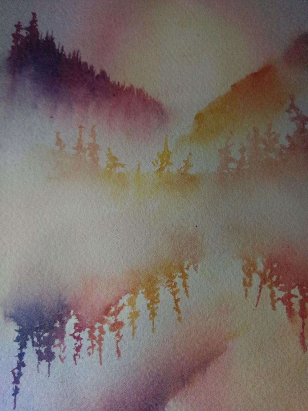 Misty Pine Reflections - image 1 - student project