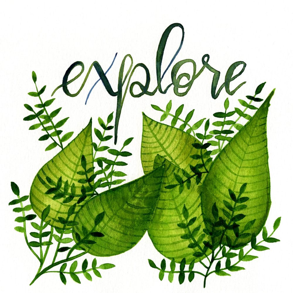 EXPLORE - image 1 - student project