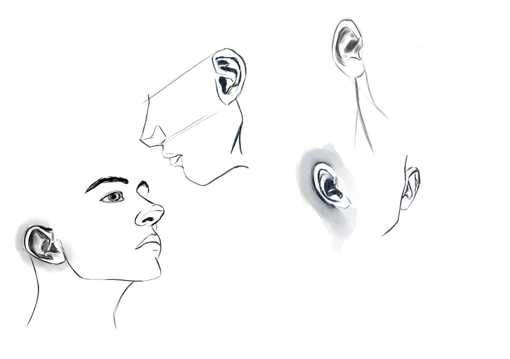 face features - image 9 - student project
