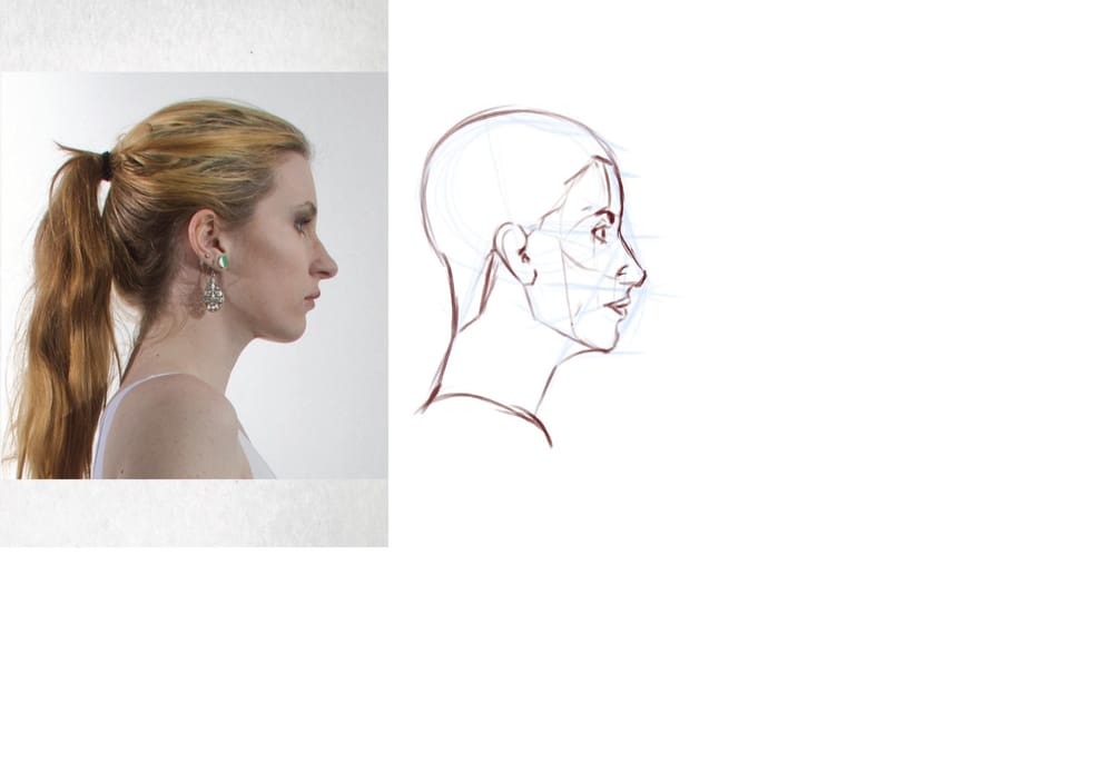 Head - image 6 - student project