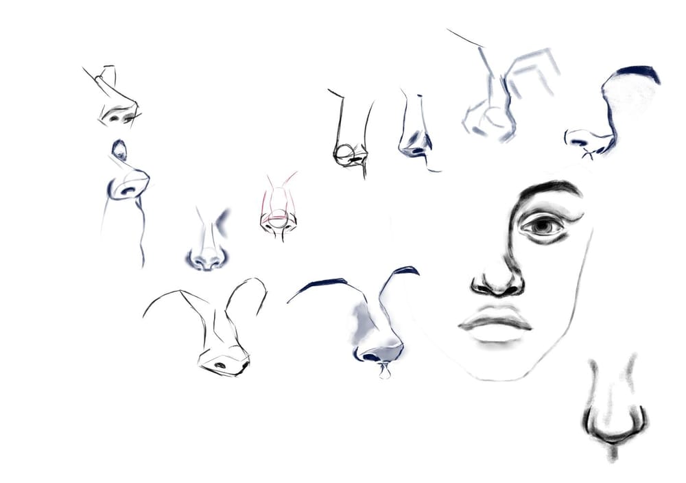 face features - image 6 - student project