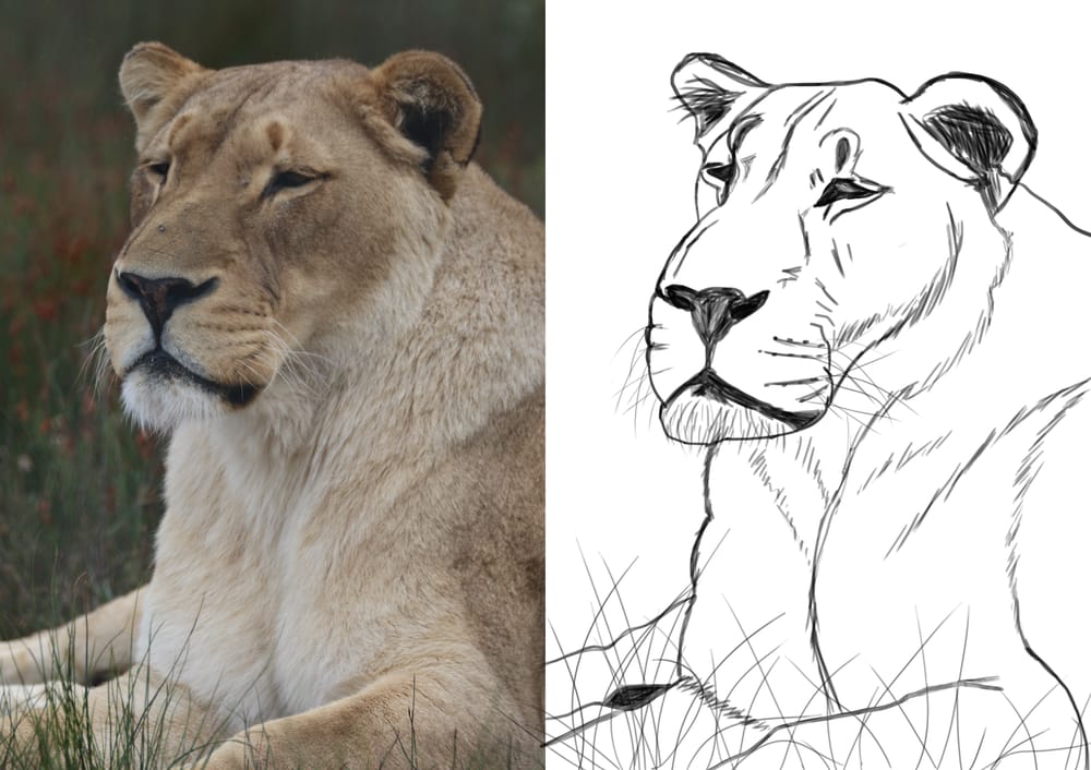 Projects - Learn to Draw and Paint in Photoshop - image 1 - student project