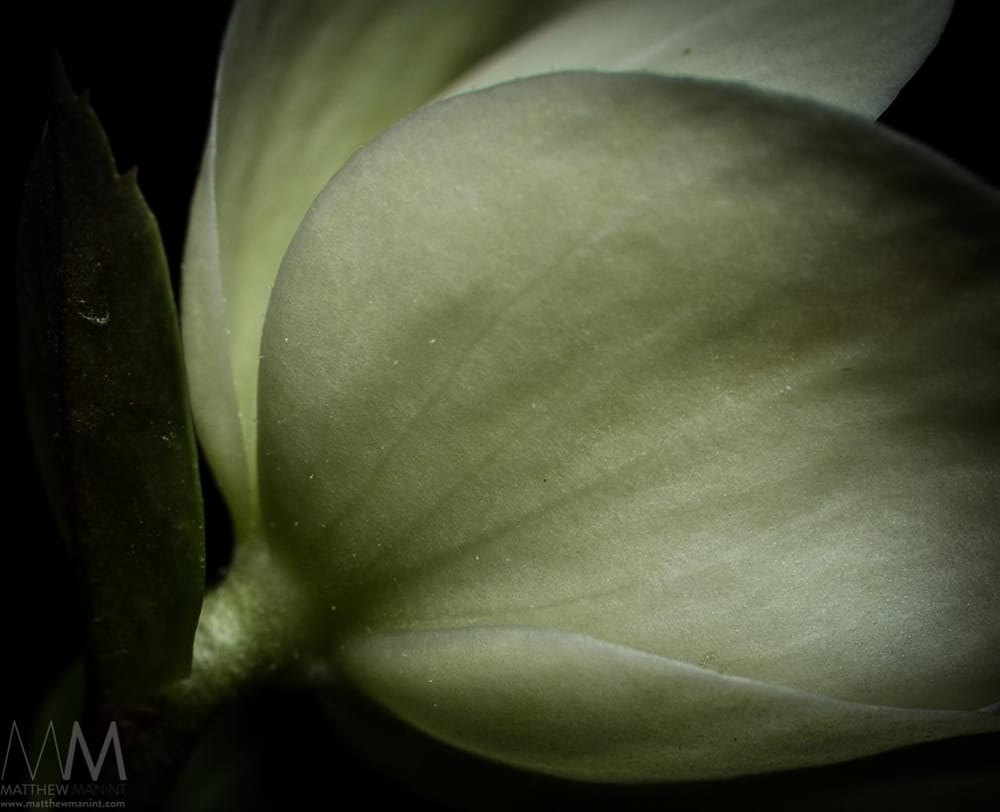 Fundamental Learning - image 1 - student project