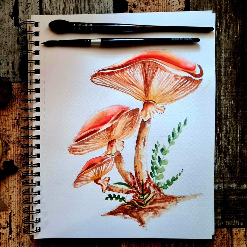 Watercolor Mushrooms - image 1 - student project