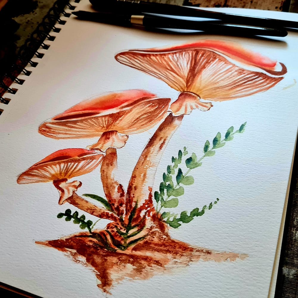 Watercolor Mushrooms - image 2 - student project