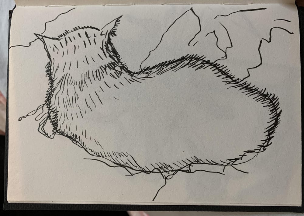 7 Days, 30 minutes of Drawing - image 2 - student project