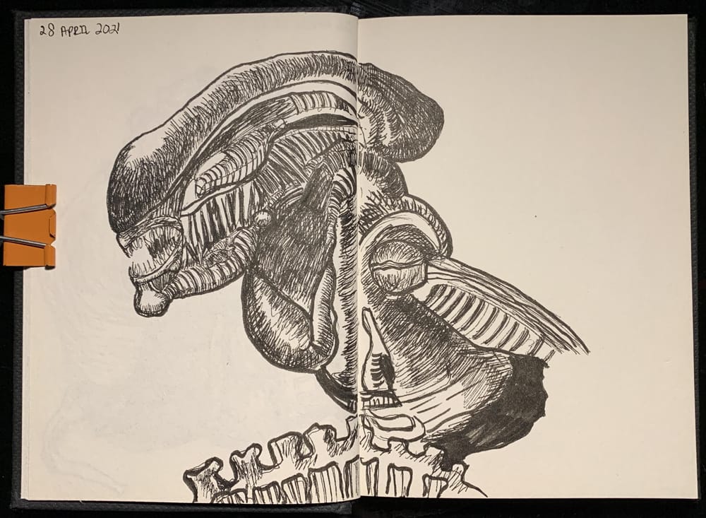 7 Days, 30 minutes of Drawing - image 4 - student project