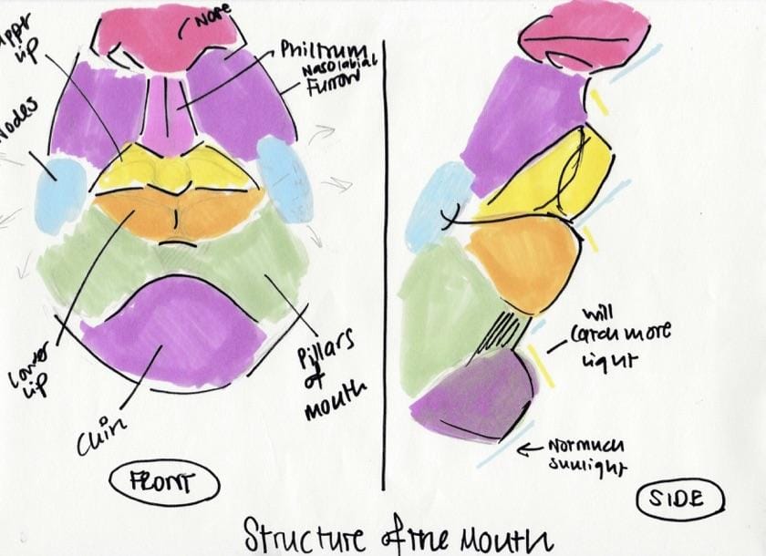 Portrait Studies: Features of the Face - image 2 - student project