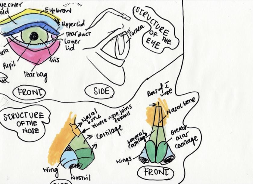Portrait Studies: Features of the Face - image 1 - student project