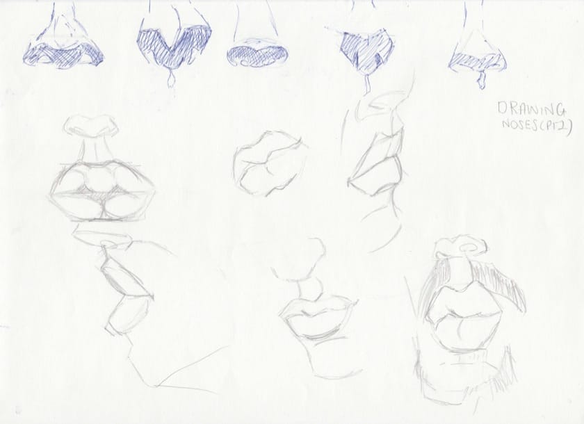 Portrait Studies: Features of the Face - image 7 - student project
