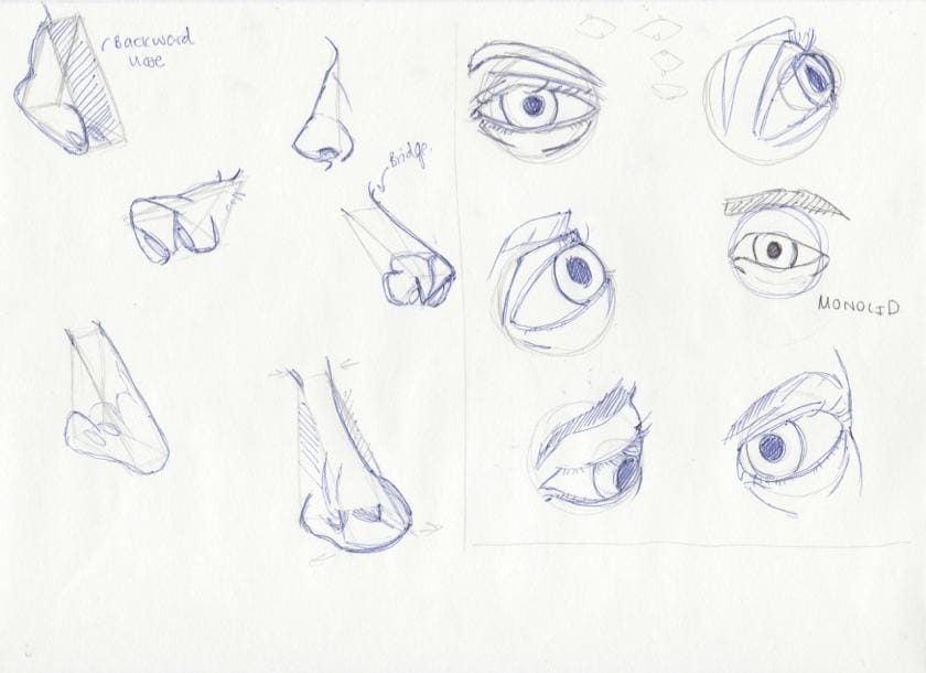 Portrait Studies: Features of the Face - image 5 - student project