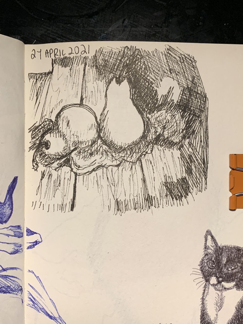 7 Days, 30 minutes of Drawing - image 3 - student project