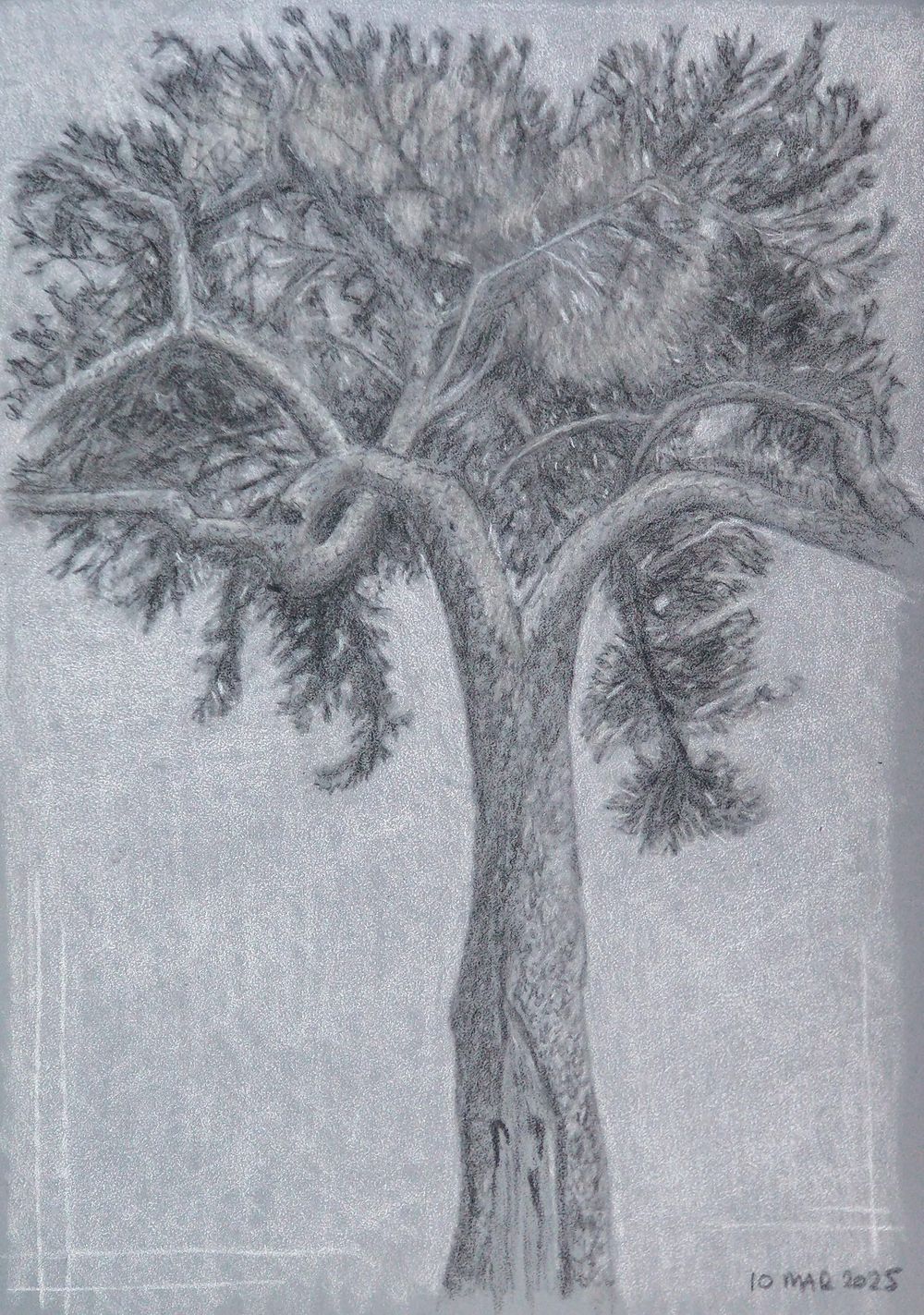 Drawing and Sketching v1 - image 2 - student project