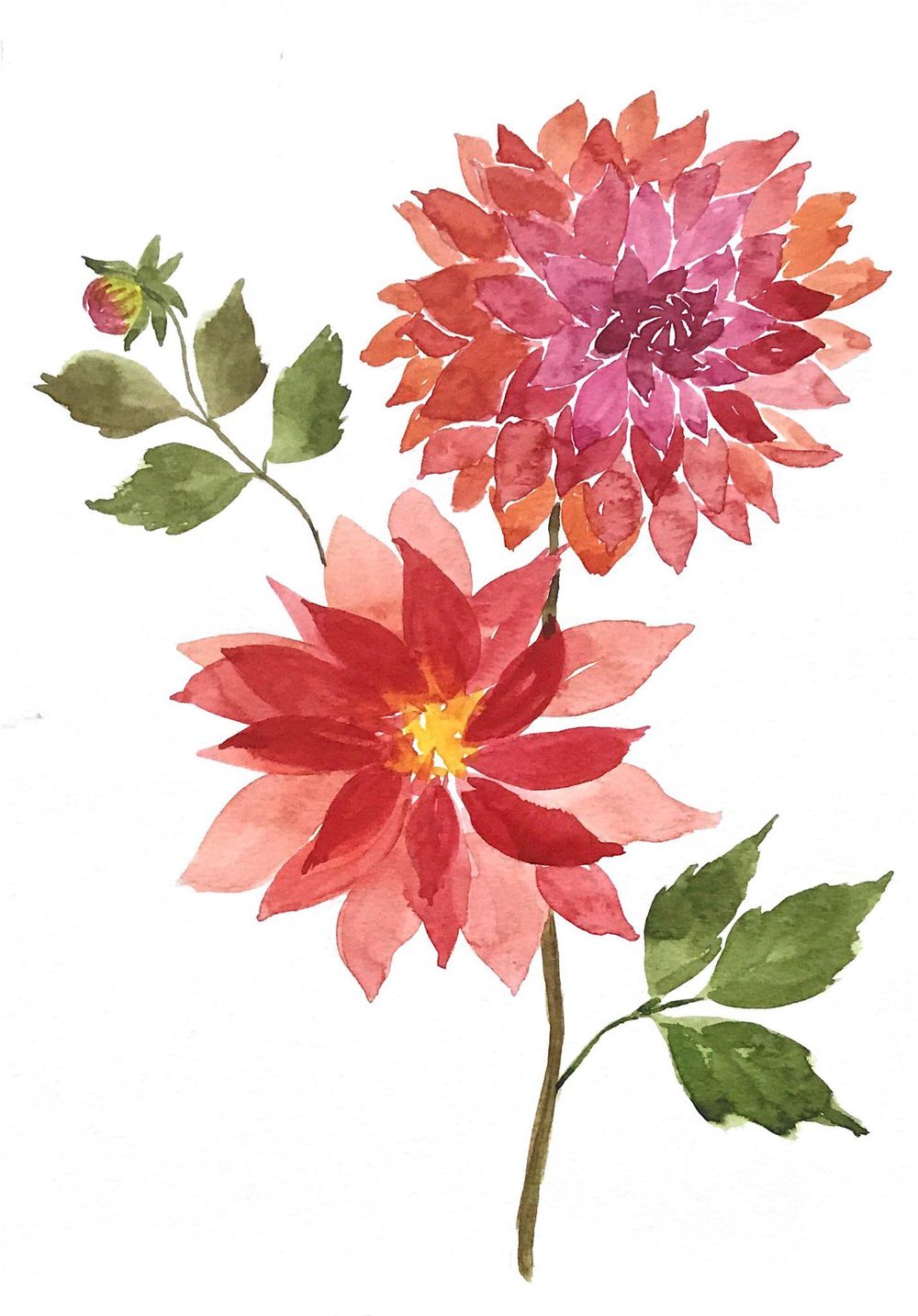 Dahlia - Realistic Style - image 3 - student project