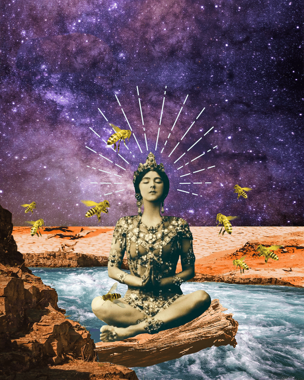 Procreate Collage - image 4 - student project